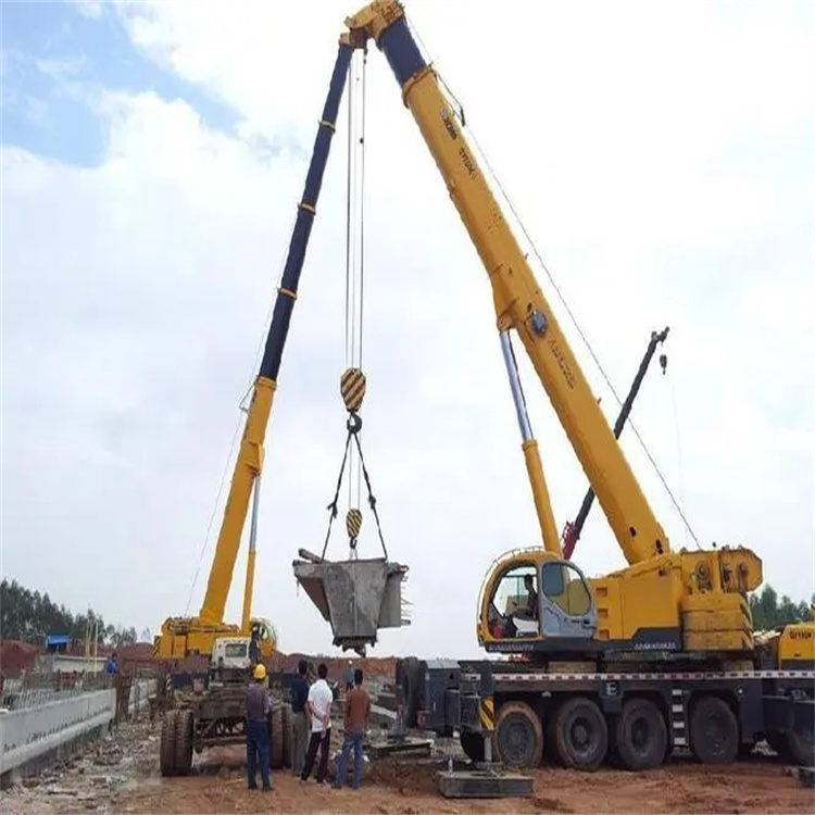 安吉小型吊机出租电话|厂房设备吊装方案|24小时服务覆盖